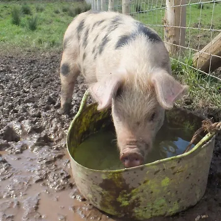 Bed and Breakfast Johnby Hall 4*