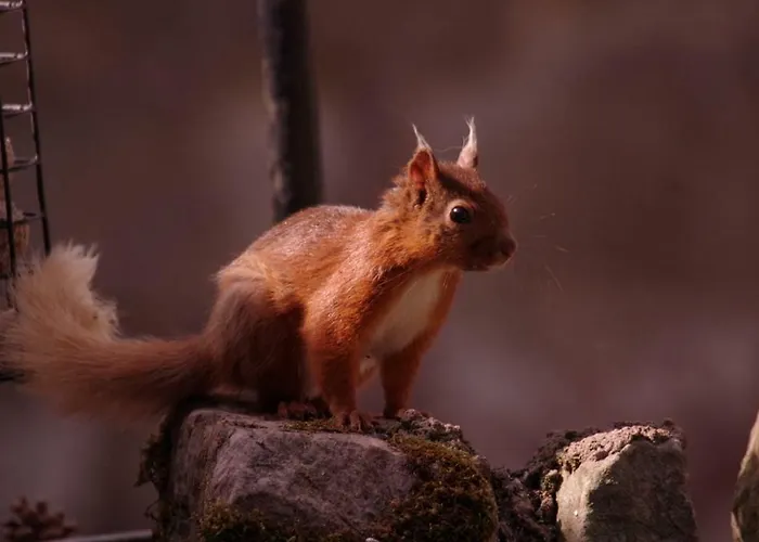 Johnby Hall Bed & Breakfast 4*